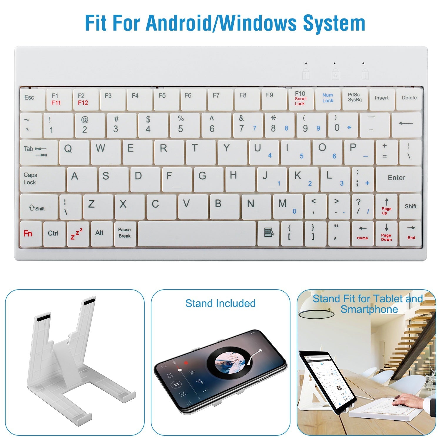 Mouse & Accessories