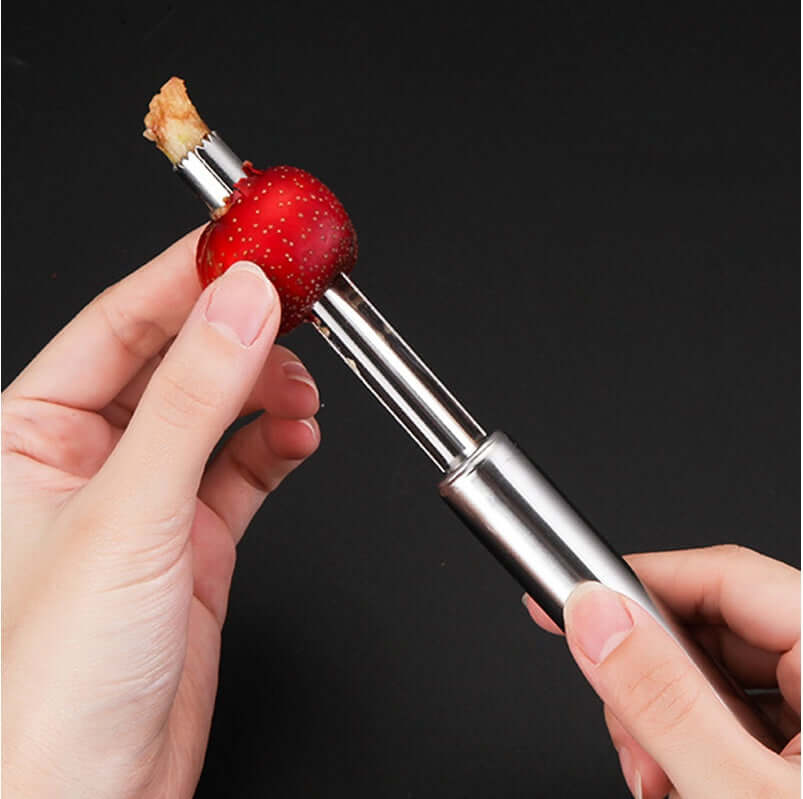 Stainless Steel Pineapple Peeler Slicer Corer Tool kitchen gadget