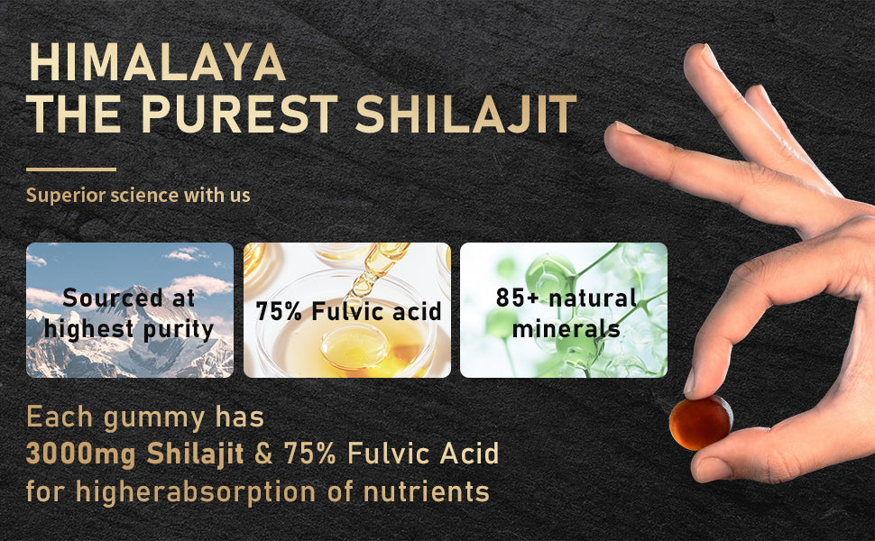 Pure Himalayan Shilajit Gold Gummies – 60 Count